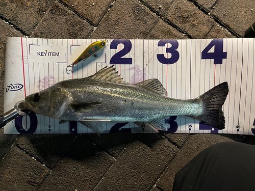 隅田川小名木川合流