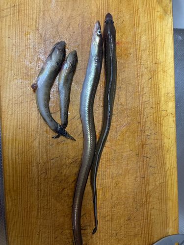 一色さかな広場前