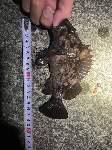 船越湾（岩手）