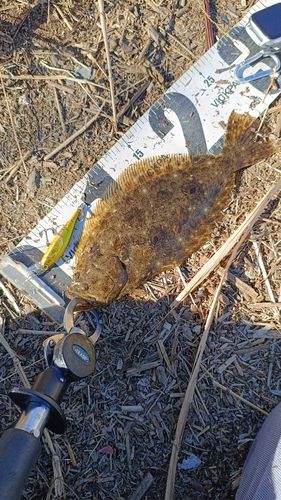 馬入ふれあい公園