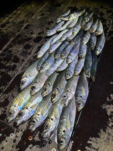 小名浜港アクアマリンふくしま周辺