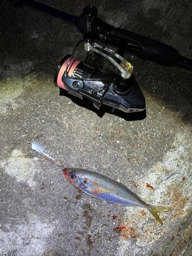 神戸空港親水護岸