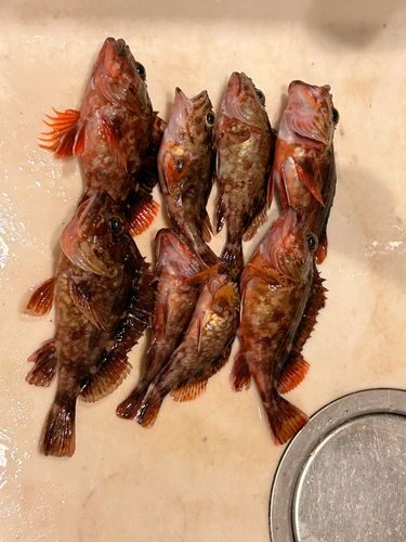 金沢水際線緑地（福浦岸壁）