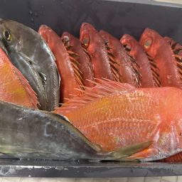 チカメキントキ