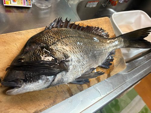 日吉原公共埠頭