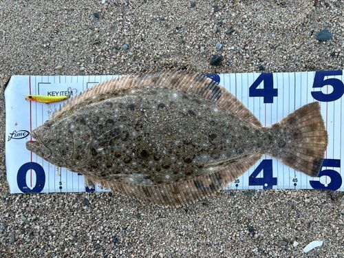 新舞子海岸（いわき）