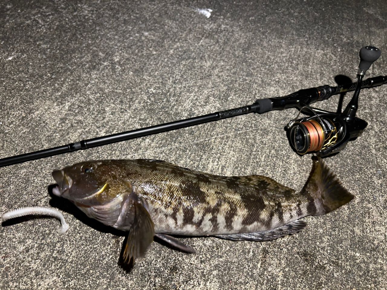 Gamakatsu ラグゼ パックスタイル B4 S74Mの最安値・インプレ・釣果