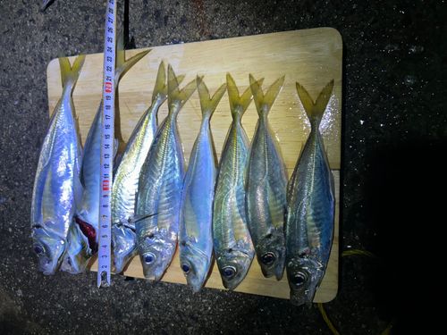 小名浜港市場前