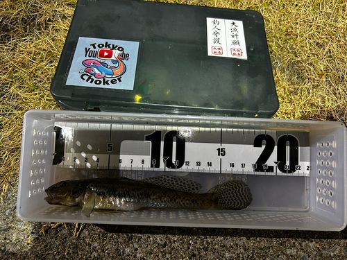 豊洲ぐるり公園