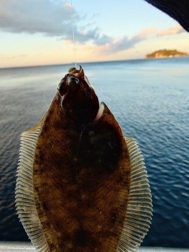 うみかぜ公園付近