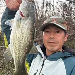 ラージマウスバス