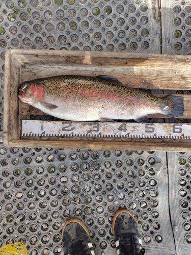 すそのフィッシングパーク