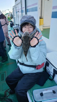 ショウサイフグの釣果