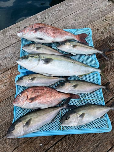 仮屋湾遊漁センター