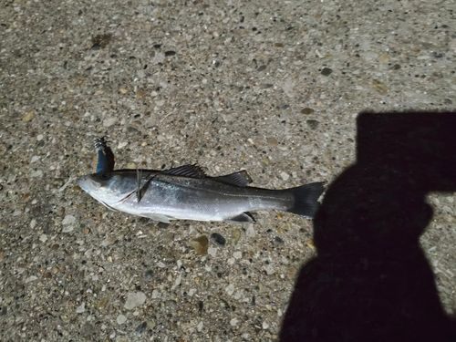 千葉港中央埠頭