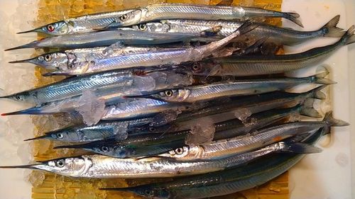 小名浜港アクアマリンふくしま周辺