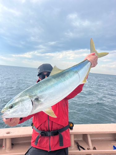 知多半島野池群