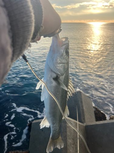 新舞子海岸（いわき）
