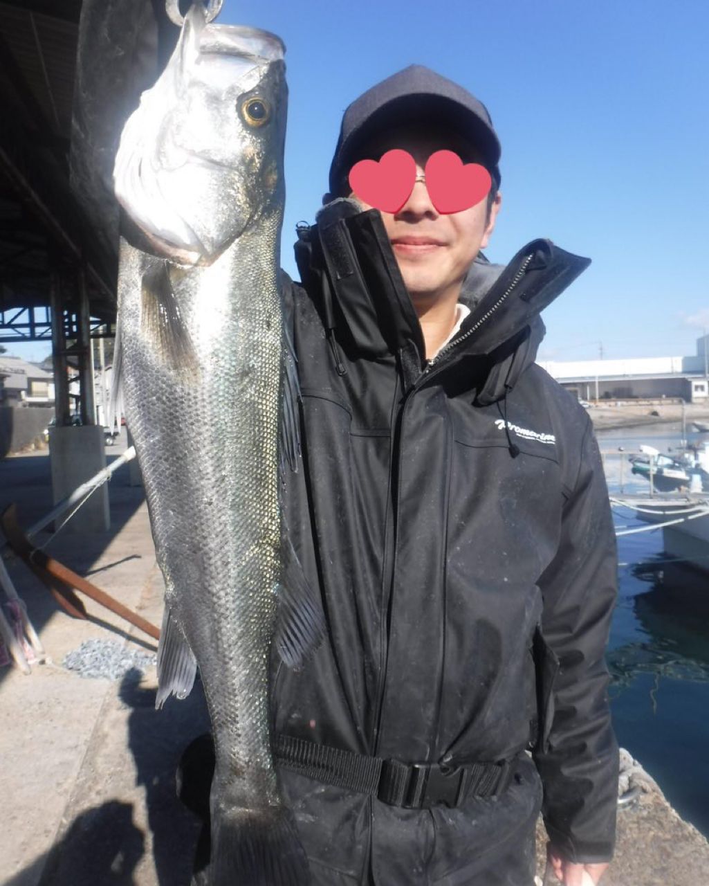 マダカ（タイリクスズキ）