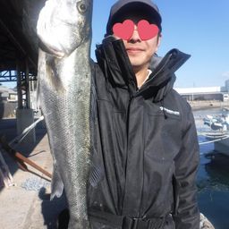 マダカ（タイリクスズキ）