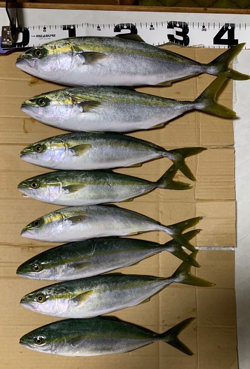 SHIMANO 22ネッサXR S112M+の最安値・インプレ・釣果 | 本音の口コミが