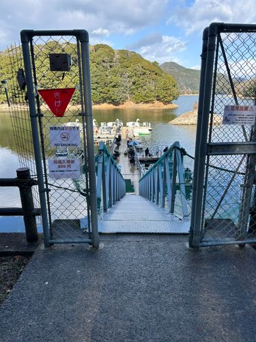 ワカサギの釣果