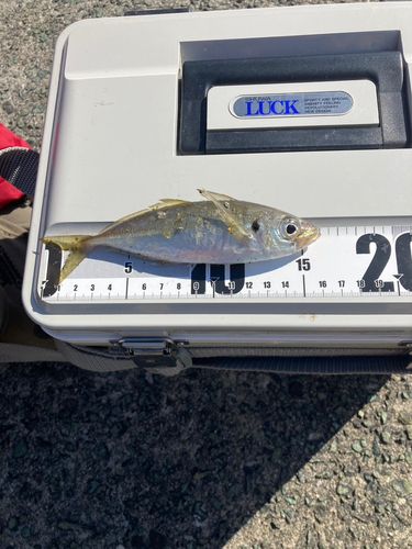 長浜新港（伊予）