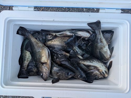 周防大島（屋代島）