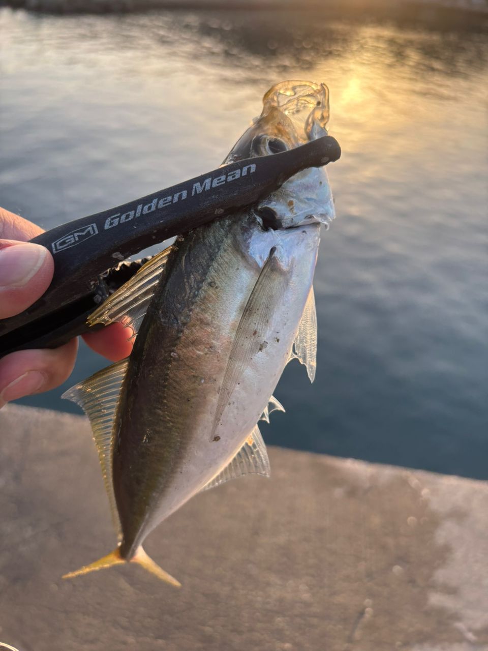 TENRYU ルナキア LK582S-LSの最安値・インプレ・釣果 | 本音の口コミが