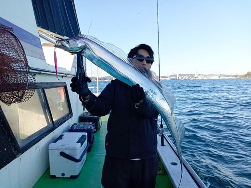 タチウオの釣果