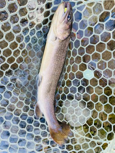 リヴァスポット早戸