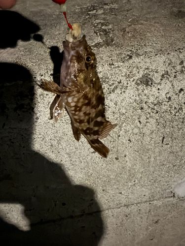 金沢水際線緑地（福浦岸壁）