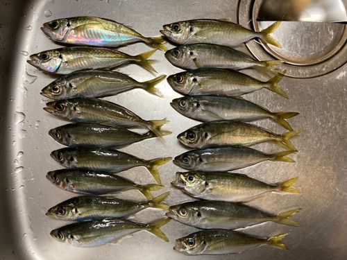 本牧海づり施設