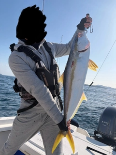 ヒラマサの釣果