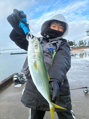 コゾクラの釣果