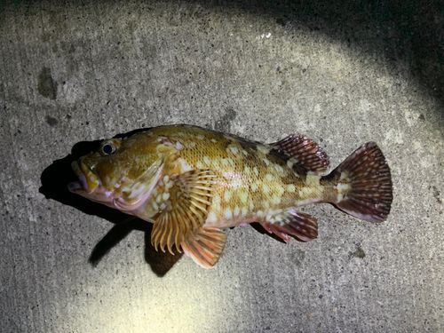 小名浜港市場前