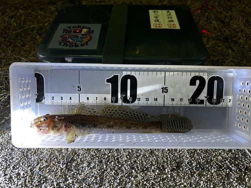 豊洲ぐるり公園