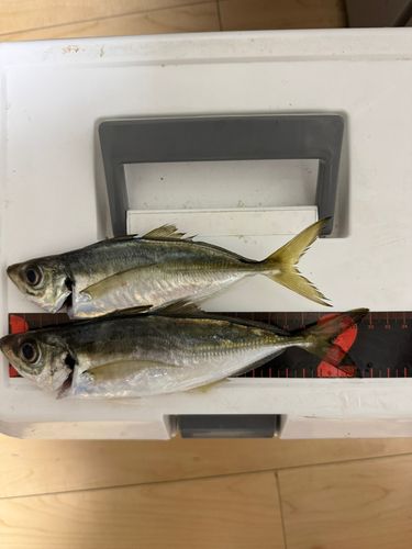 大黒ふ頭西緑地