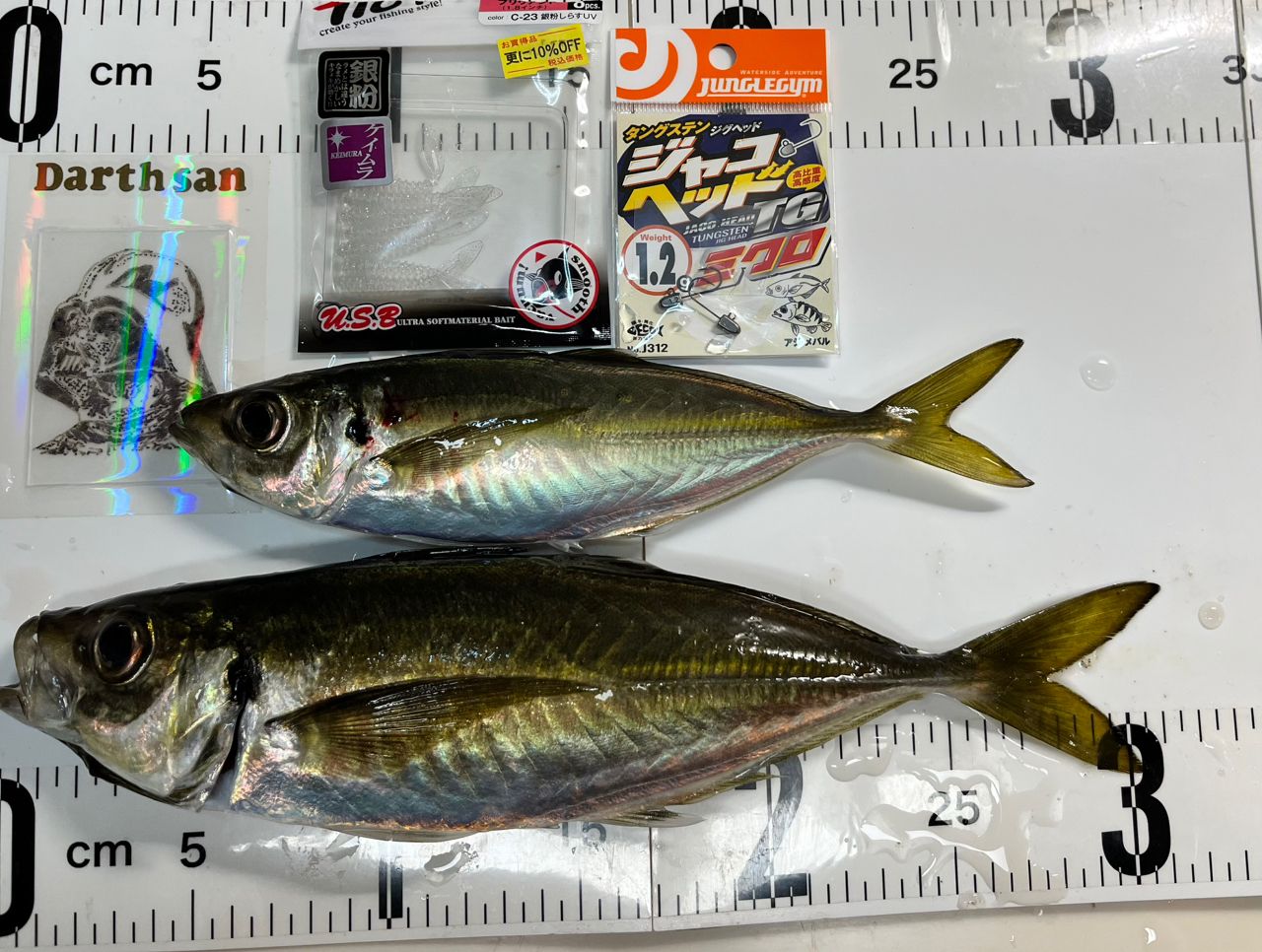 DAIWA 19バリスティック FW LT2000SS-XHの最安値・インプレ・釣果