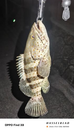 西原・与那原マリンパーク