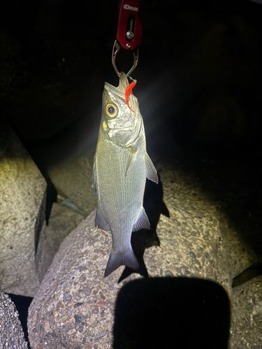 日吉原公共埠頭