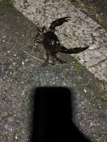 城南島海浜公園