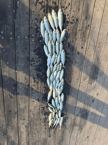 小名浜港アクアマリンふくしま周辺