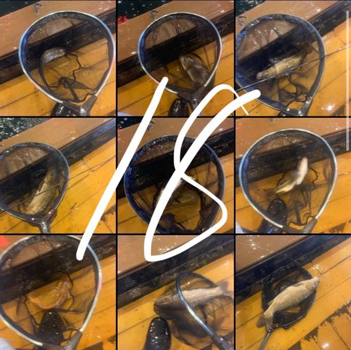 アミューズパーク会津