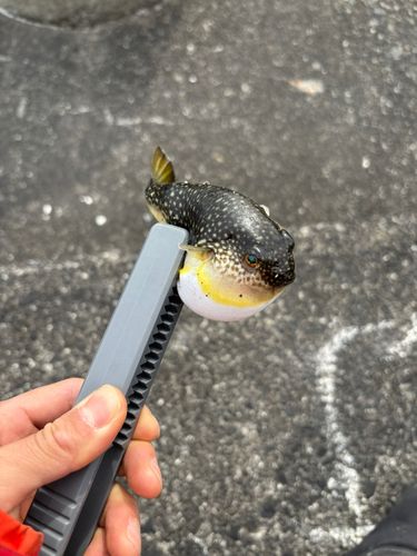 用宗広野海岸公園