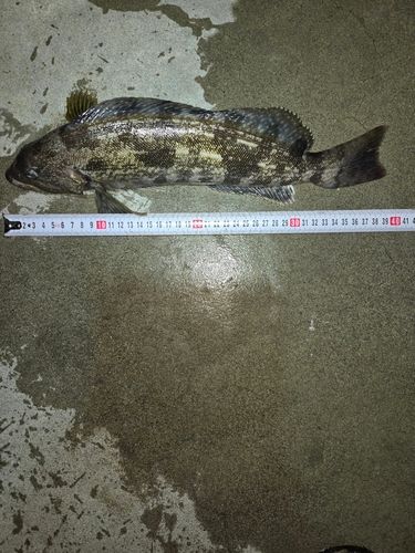 三陸海岸（青森）