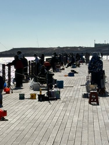 小名浜港アクアマリンふくしま周辺