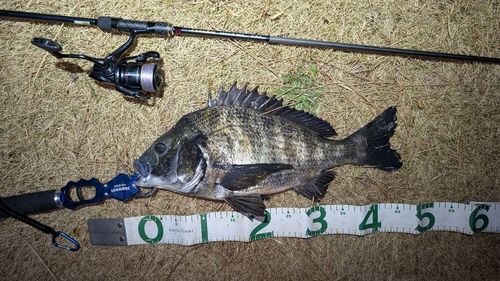 東京湾（アクアライン〜富津）