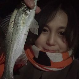 セイゴ（マルスズキ）