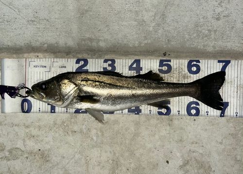 荒川河川敷運動公園